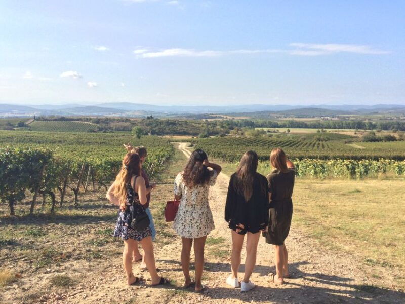 lastours-vineyard-minerve-canal-du-midi-from-carcassonne