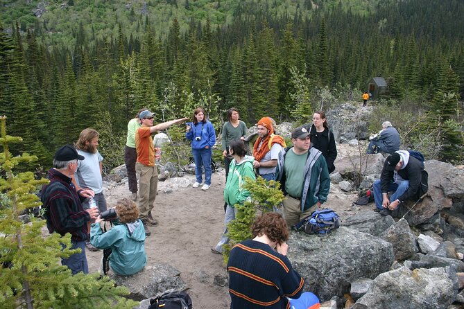 laughton-glacier-hike-and-white-pass-rail-adventure