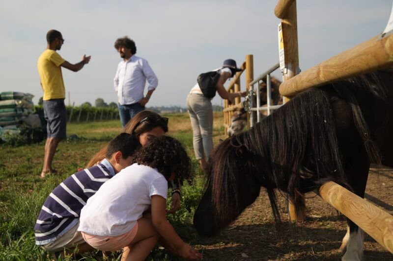 lazise-biodynamic-farm-tour-and-natural-wine-tasting