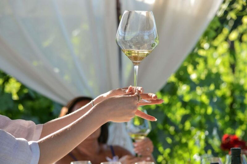 light-lunch-with-wine-tasting
