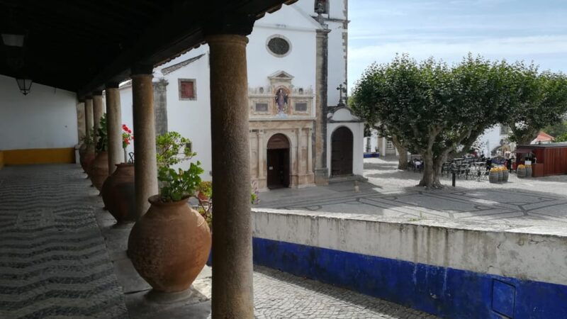 lisbon-one-way-to-porto-stops-in-obidos-nazare-and-aveiro