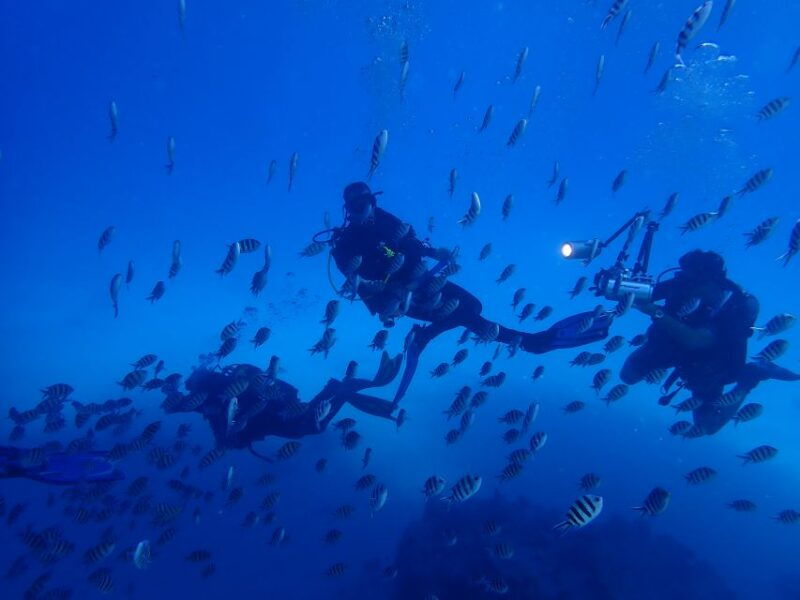 lisbon-try-dive-in-arrabida-marine-reserve-setubal-sesimbra