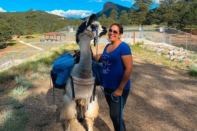 llama-to-lunch-in-the-rocky-mountains