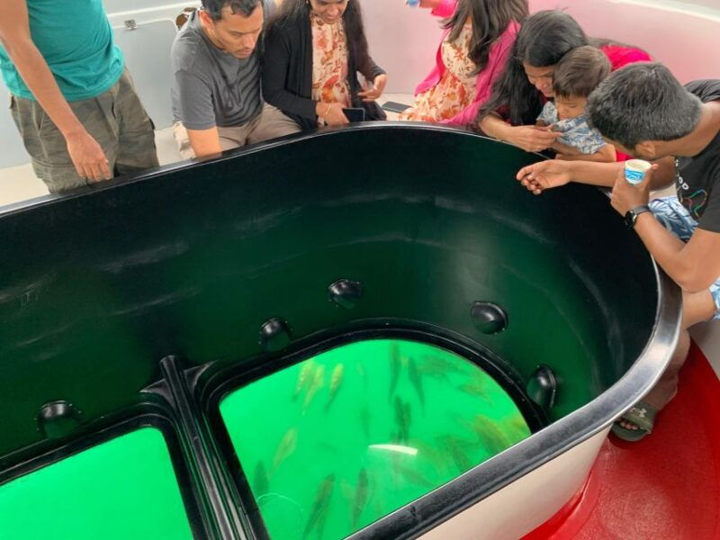 long-beach-glass-bottom-boat-harbor-ecotour