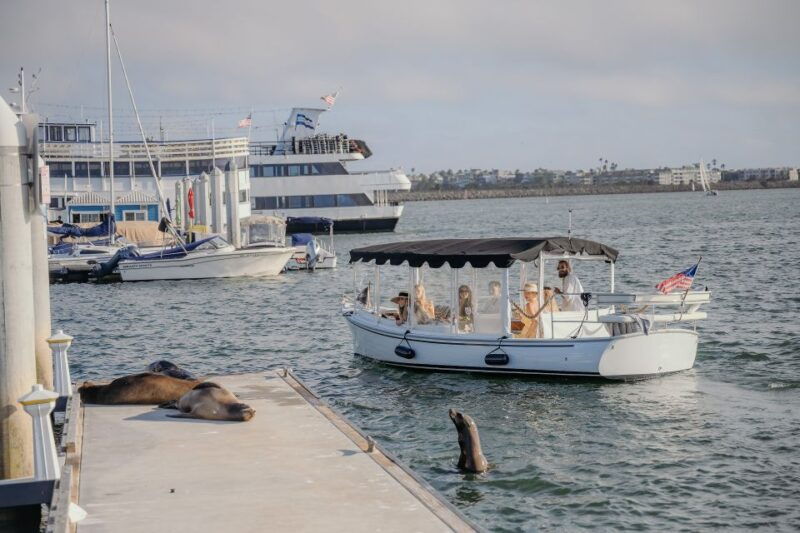 los-angeles-luxury-cruise-with-wine-cheese-sea-lions
