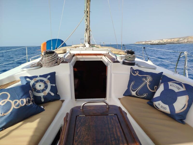 luxury-dolphin-boat-excursions-from-puerto-colon-tenerife