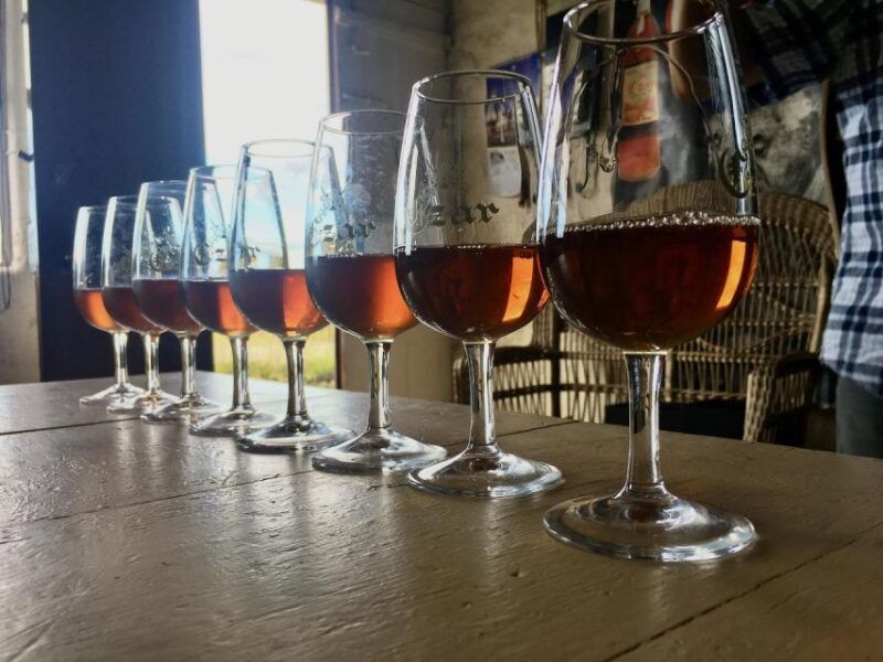 luxury-wine-tasting-at-the-czar-pico-winery