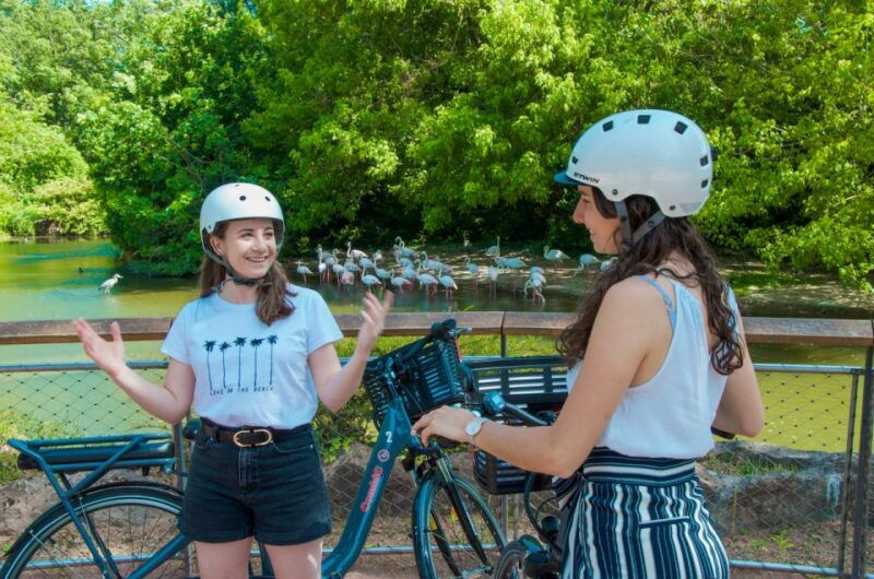 lyon-discovery-of-the-tete-dor-park-by-ebike