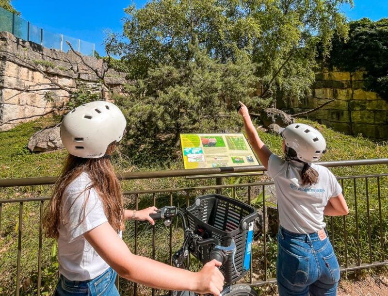 lyon-tete-dor-park-ebike-tour