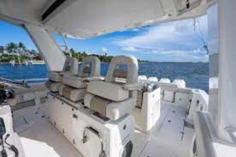 maalaea-small-group-2-hour-whale-watch-experience