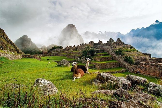 machupicchu-circuit-3-waynapicchu-entrance-ticket-morning