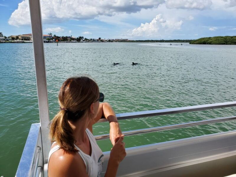 madeira-beach-guided-dolphin-watching-eco-friendly-cruise