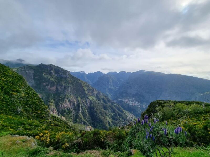 madeira-picturesque-peaks-and-skywalk-private-4x4-jeep-tour