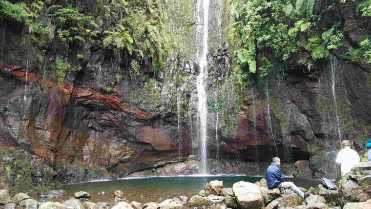 madeira-private-walking-tour-of-levada-das-25-fontes-pr6
