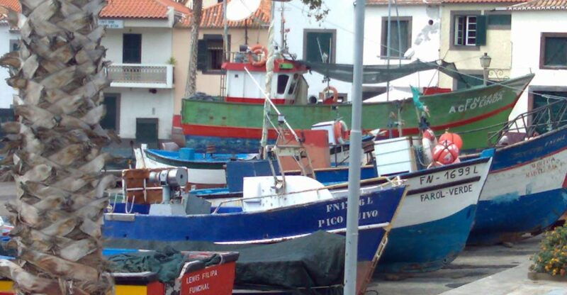 madeira-south-west-half-day-private-tour