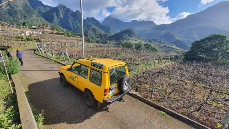 madeira-wine-tasting-guided-tour-jeep-safari-viewpoints
