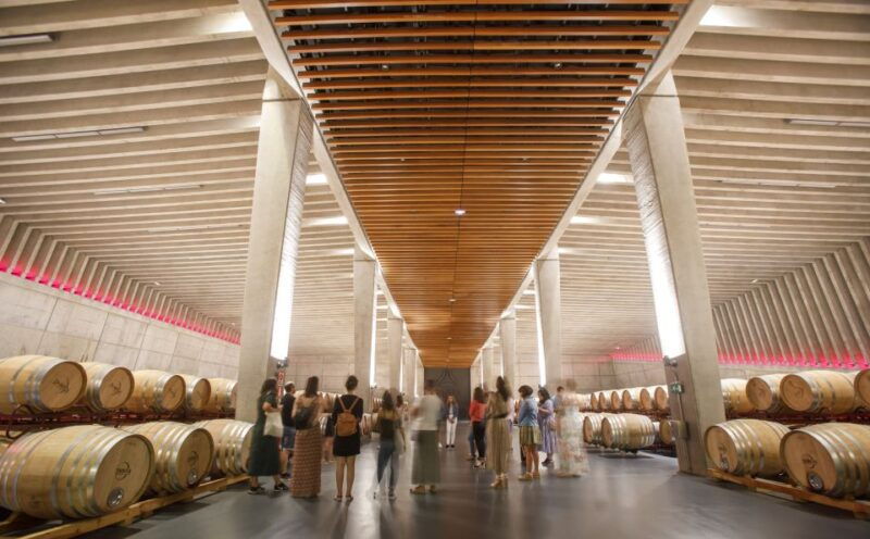 madrid-ribera-and-rioja-wine-private-trip-with-tastings