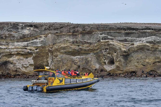 magdalena-island-penguin-boat-tour-and-marta-island