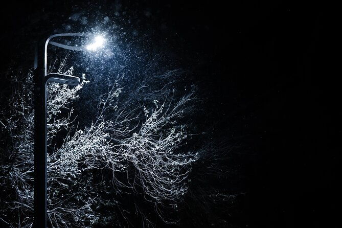 magical-christmas-tour-in-beautiful-reykjavik