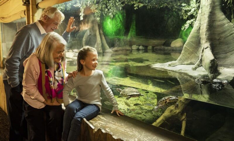 mall-of-america-sea-life-minnesota-aquarium-entry-ticket
