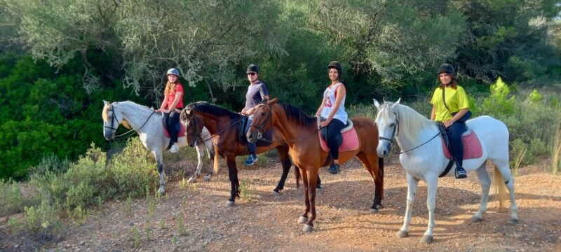 mallorca-activity-antique-mallorca-with-picnic