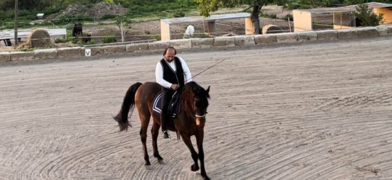 mallorca-sunset-spanish-riding-school-show