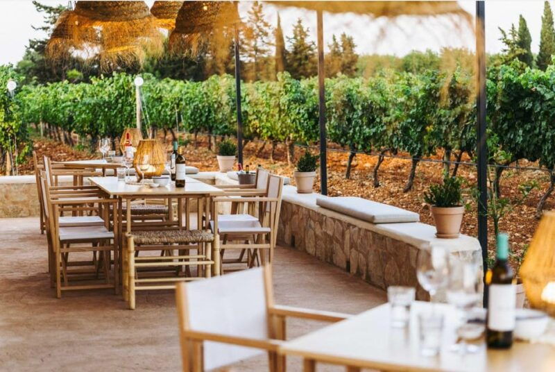 mallorca-sunset-wine-tasting-minibus-tour-english-guide