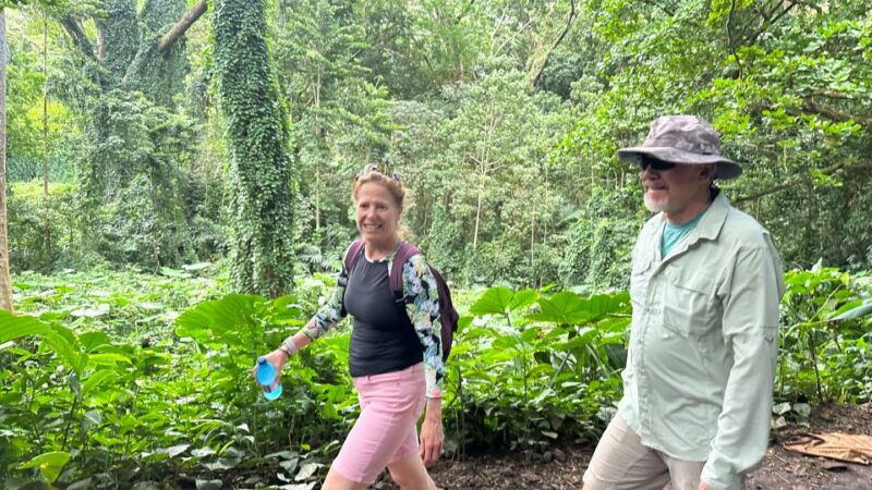 manoa-falls-ebike-to-hike