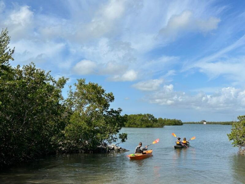 marco-island-mangrove-maze-kayak-tour-2hrs
