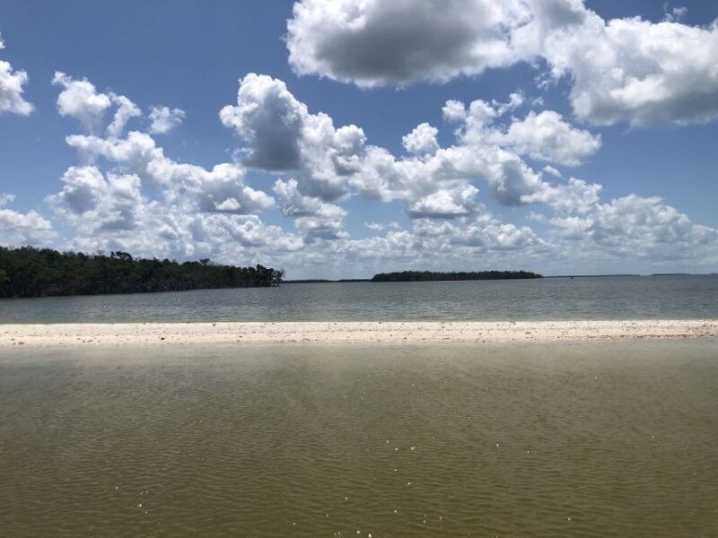 marco-island-ten-thousand-islands-shelling-dolphin-tour