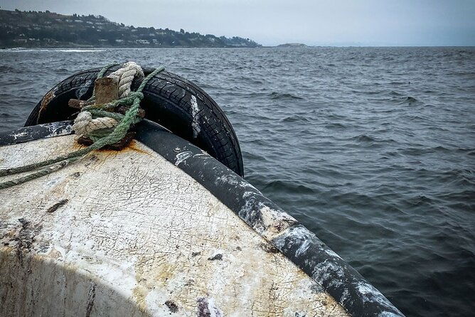 marine-life-flavors-of-the-pacific-full-day-private-tour