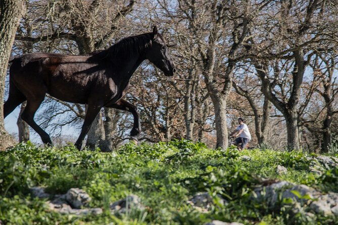 martina-franca-e-bike-tour-visit-a-breeding-and-a-dairy-farm