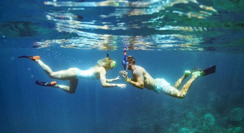 maui-kaanapali-beach-4-hour-snorkel-w-bbq-lunch-open-bar