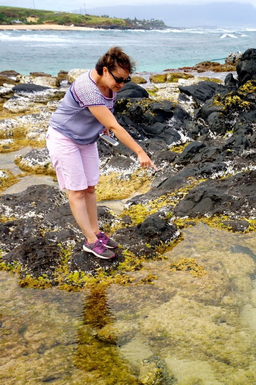 maui-private-guided-round-trip-excursion-to-hana