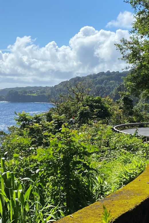 maui-road-to-hana-private-adventure-tour-with-luxury-suv