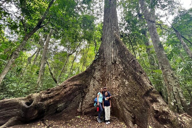 mayan-adventure-in-tikal