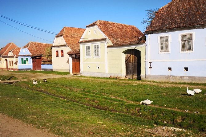 medieval-sighisoara-rural-viscri-private-tour-lunch-included