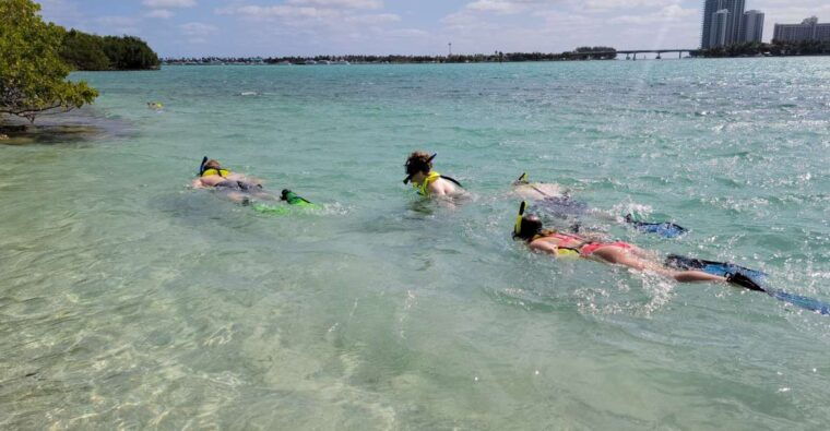 miami-beginner-friendly-island-snorkeling-by-sup-or-kayak