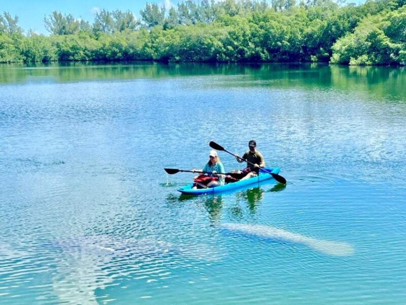 miami-manatee-season-paddleboard-or-kayak-tour