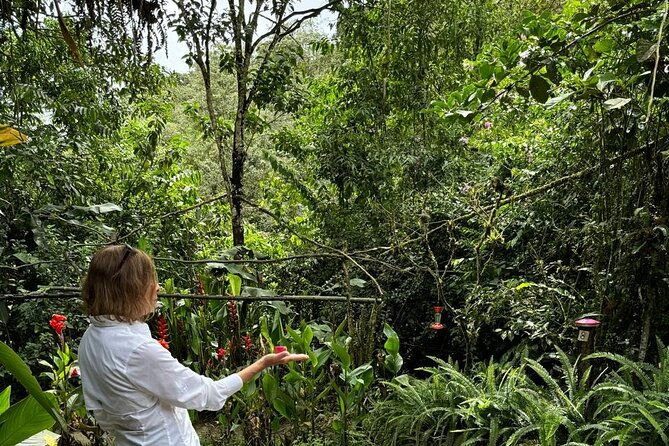 mindo-cloud-forest-private-day-tour-and-chocolate-factory