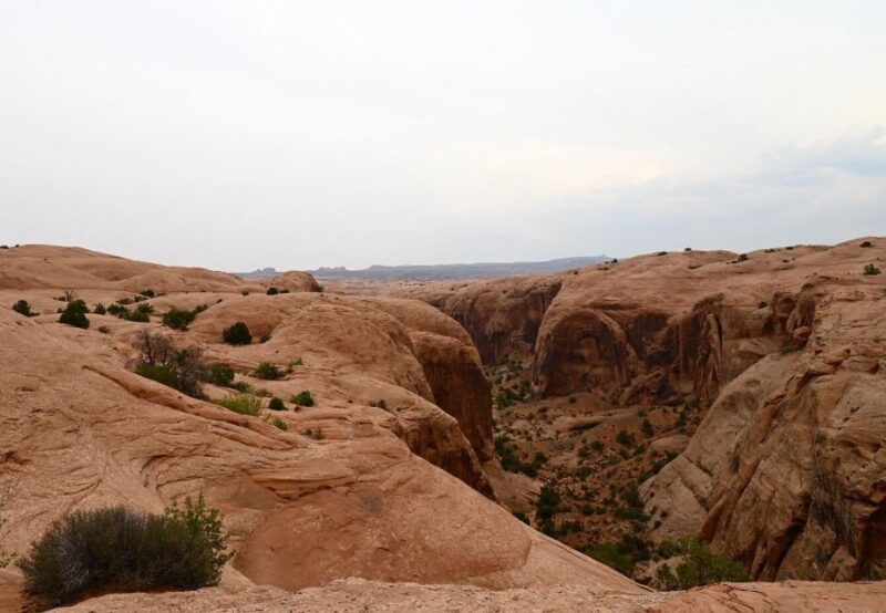 moab-self-drive-2-5-hour-hells-revenge-4x4-guided-tour