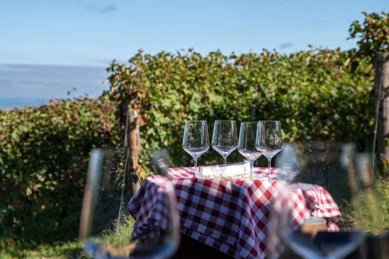 monforte-dalba-tasting-of-iconic-langhe-wines-and-winery-tour