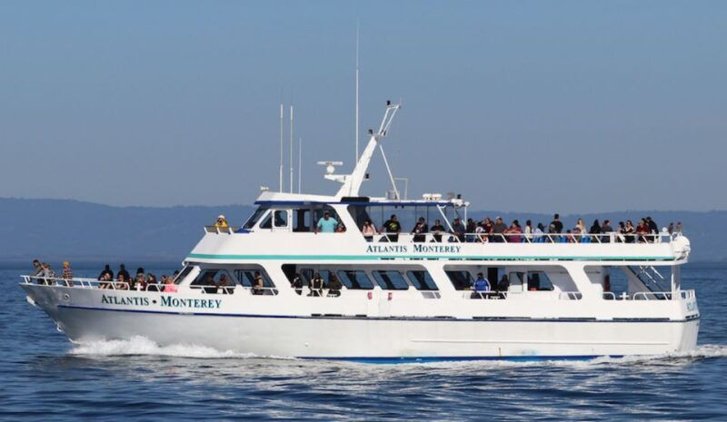 monterey-whale-watching-tour-with-a-marine-guide