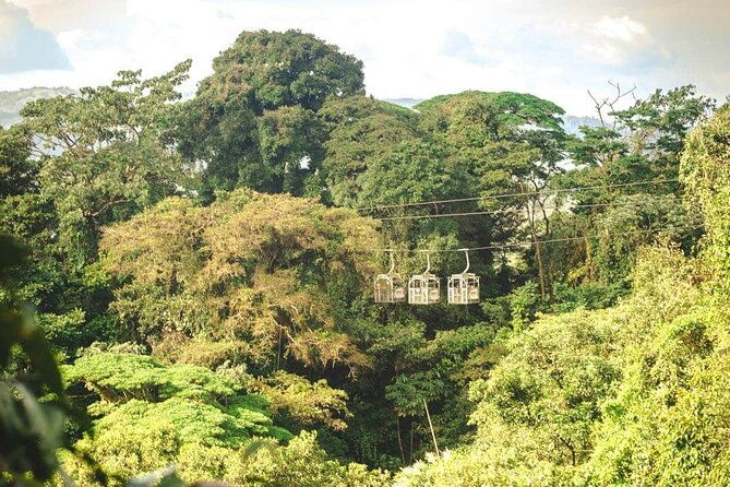 monteverde-combo-cable-car-zipline-hanging-bridges