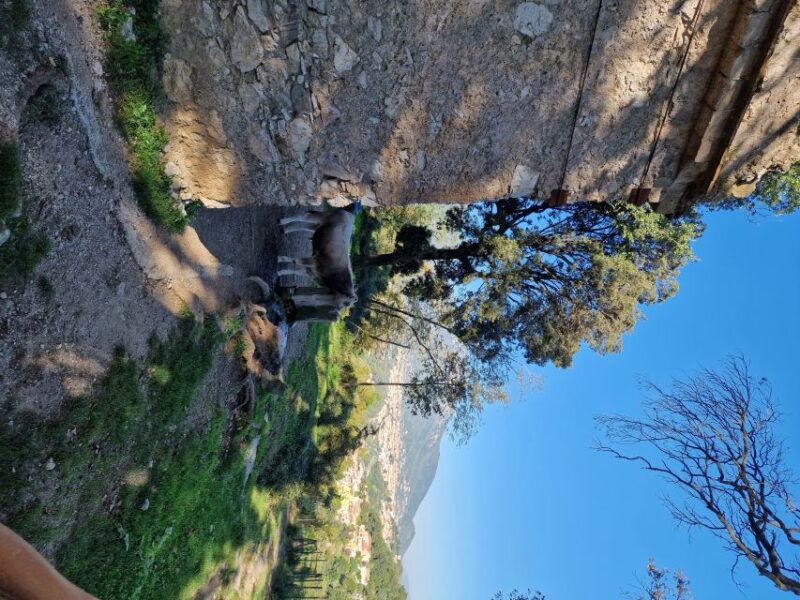 mount-san-liberatore-hike-vietri-amalfi-coast
