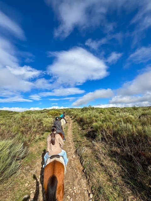 mountain-horseback-ride-lunch-wine-tasting