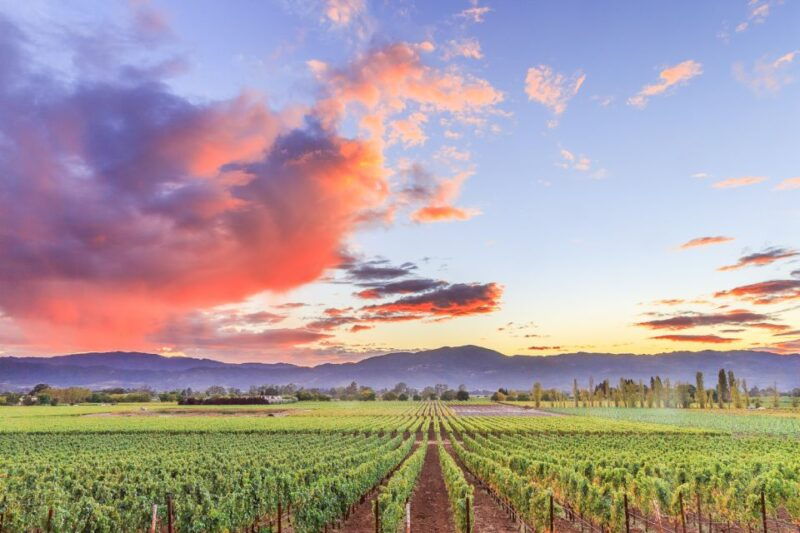 napa-valley-guided-wine-tour-with-picnic-lunch