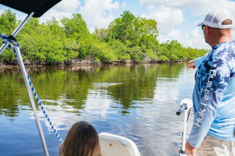 naples-fl-manatee-dolphin-10000-islands-beach-eco-tour