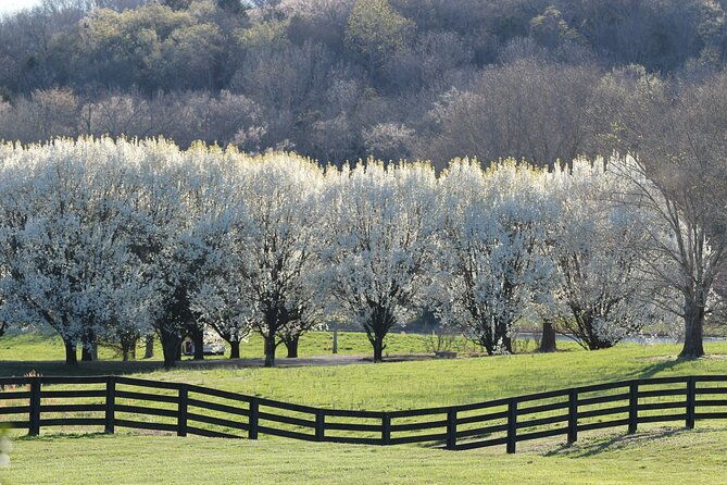 natchez-trace-parkway-self-guided-driving-audio-tour