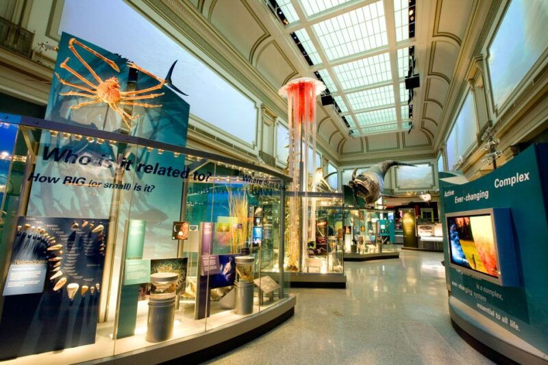 national-museum-of-natural-history-guided-tour